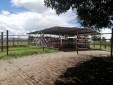 Finca productiva para la Venta Quimbaya