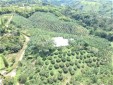 Finca Productiva para la Venta ubicada en trópico bajo
