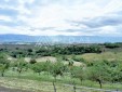 Se vende Finca Ganadera