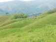 Finca productiva con alto Potencial Agroindustrial