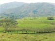 Finca productiva con alto Potencial Agroindustrial