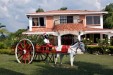 Se Vende Finca