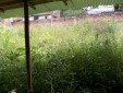 EN PEREIRA, LOTE URBANO PARA LA VENTA