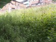 EN PEREIRA, LOTE URBANO PARA LA VENTA