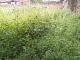 EN PEREIRA, LOTE URBANO PARA LA VENTA