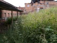 EN PEREIRA, LOTE URBANO PARA LA VENTA