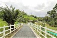 Se Vende Finca Productiva