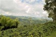 Finca Productiva para la Venta