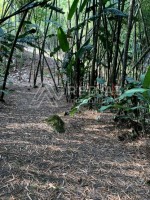 Finca en Venta en Malabar