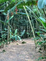 Finca en Venta en Malabar