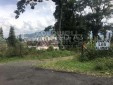 Lote en venta para desarrollo de vivienda ubicado en Pinares - Pereira