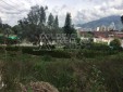 Lote en venta para desarrollo de vivienda ubicado en Pinares - Pereira