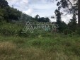 Lote en venta para desarrollo de vivienda ubicado en Pinares - Pereira