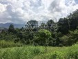 Lote en venta para desarrollo de vivienda ubicado en Pinares - Pereira