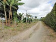 Finca Productiva para la Venta en Montenegro Quindío