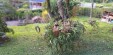 Red A3 Inmobiliarios Vende Casa Campestre
