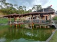 Finca para la Venta en Dosquebradas Risaralda