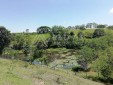 Finca Productiva para la Venta en Ulloa-Valle del Cauca