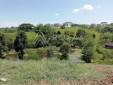 Finca Productiva para la Venta en Ulloa-Valle del Cauca