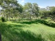 Finca Productiva para la Venta en Ulloa-Valle del Cauca