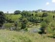 Finca Productiva para la Venta en Ulloa-Valle del Cauca