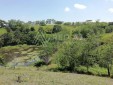 Finca Productiva para la Venta en Ulloa-Valle del Cauca