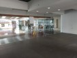 Local Comercial en Renta- Circunvalar Pereira