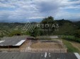 Finca Pereira Risaralda