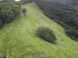 Finca Pereira Risaralda