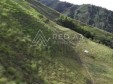 Finca Pereira Risaralda