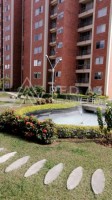 RED A3 Inmobiliarios arrienda en Pereira, apta-estudio.