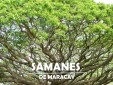Se Vende Nueva Etapa en Maracay Ciudad Campestre, Samanes de Maracay