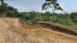 Red A3 Inmobiliarios Vende Lotes