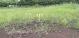 Se Vende Lote Campestre en Condominio