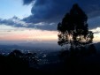 Se Arrienda Finca Productiva
