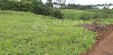Se Vende Lote Campestre