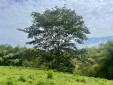 Se Vende Lote en Parcelación