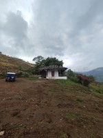 Se Vende Finca de Producción