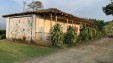 Se Vende Finca Cafetera