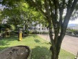 Se Arrienda Apartamento