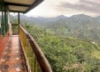 Se Vende Finca Cafetera