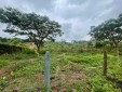 Se Vende Lote en Parcelación