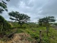 Se Vende Lote en Parcelación