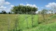 Se Vende Lote En Parcelación