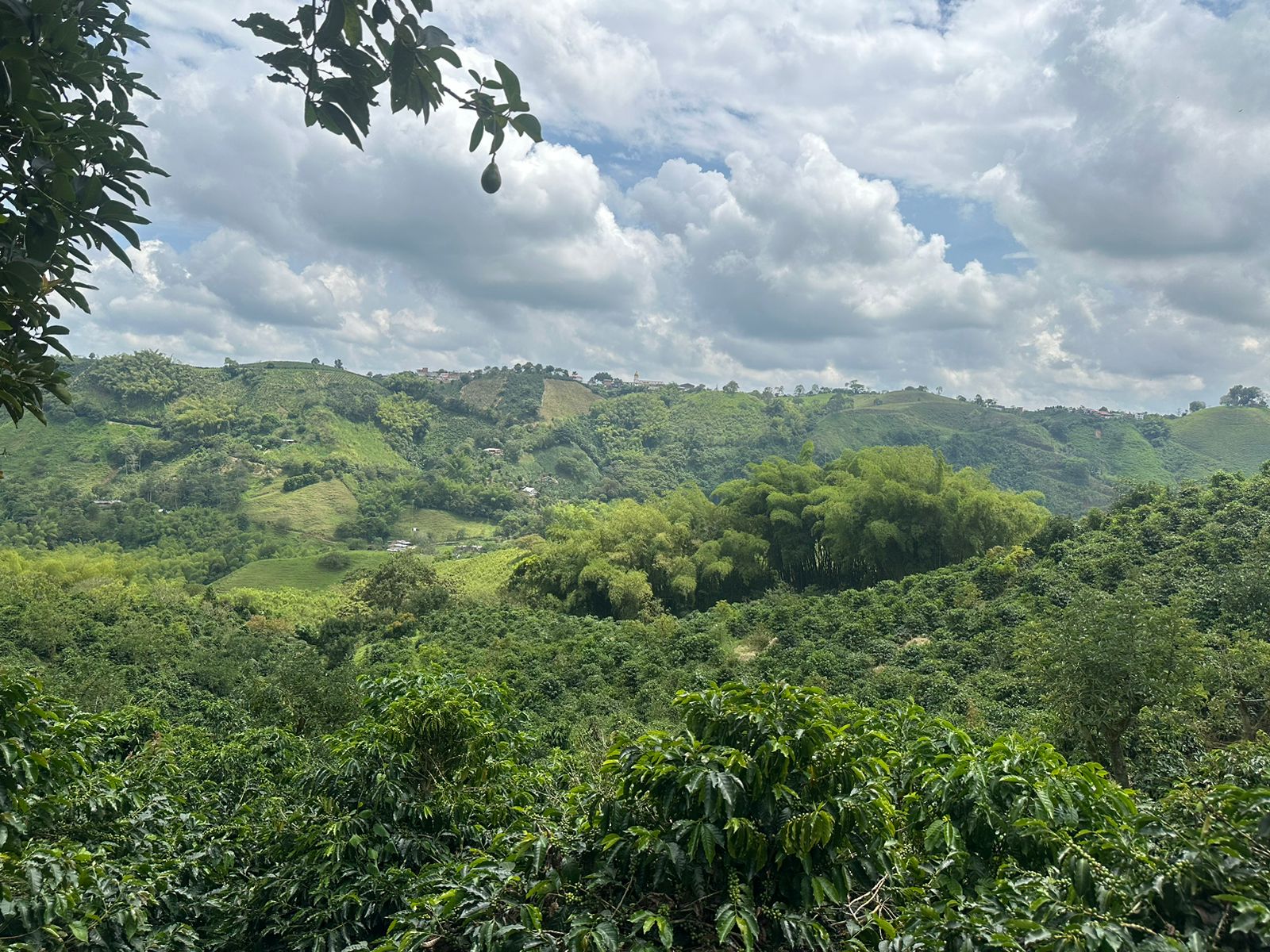 Finca en Venta para Lote...