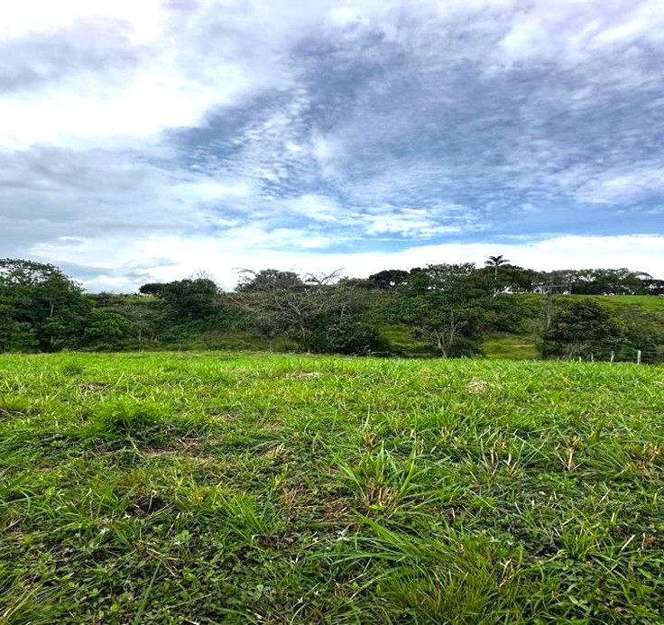 Lote en Condominio Campe...