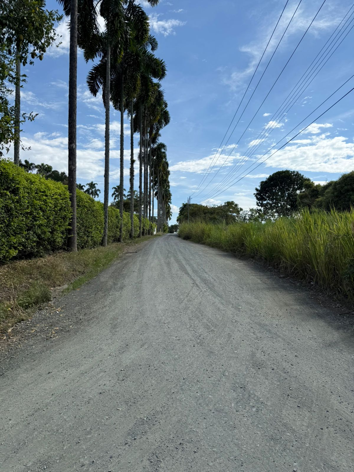 Lote en Arriendo