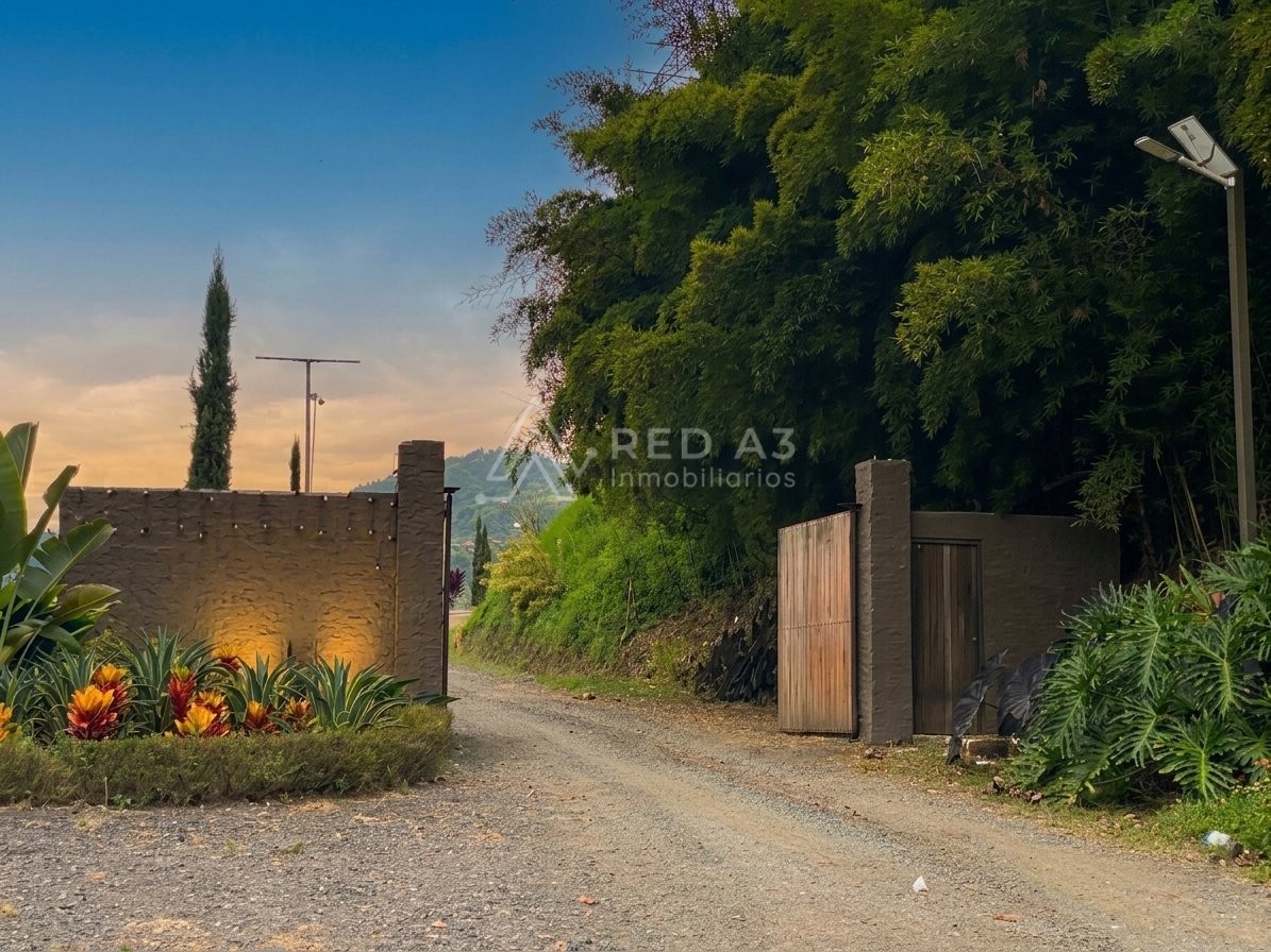 Local en Arriendo