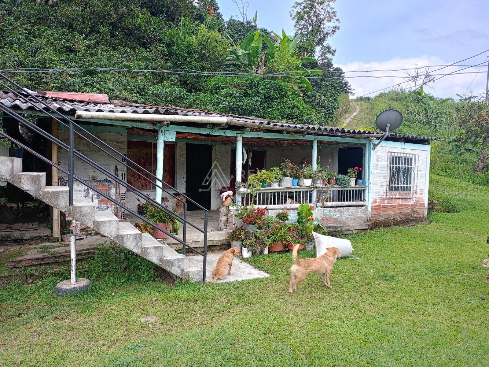 Finca En Venta