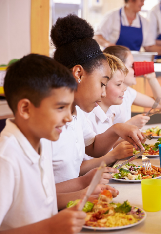 Imagen de Alimentación